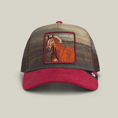 Goorin Bros Trucker Cap Stallion in the Element Crush