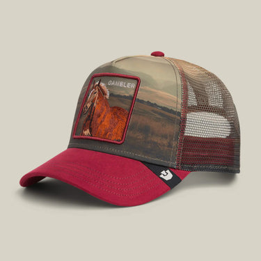 Goorin Bros Trucker Cap Stallion in the Element Crush