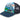 Sunday Afternoons Artist Series Cap Trucker Spring Thaw